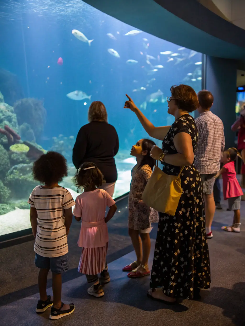 A workshop setting where participants are learning about marine conservation, with displays of local marine life and interactive exhibits.
